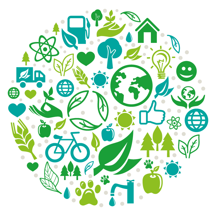 O compromisso ambiental da Guinot